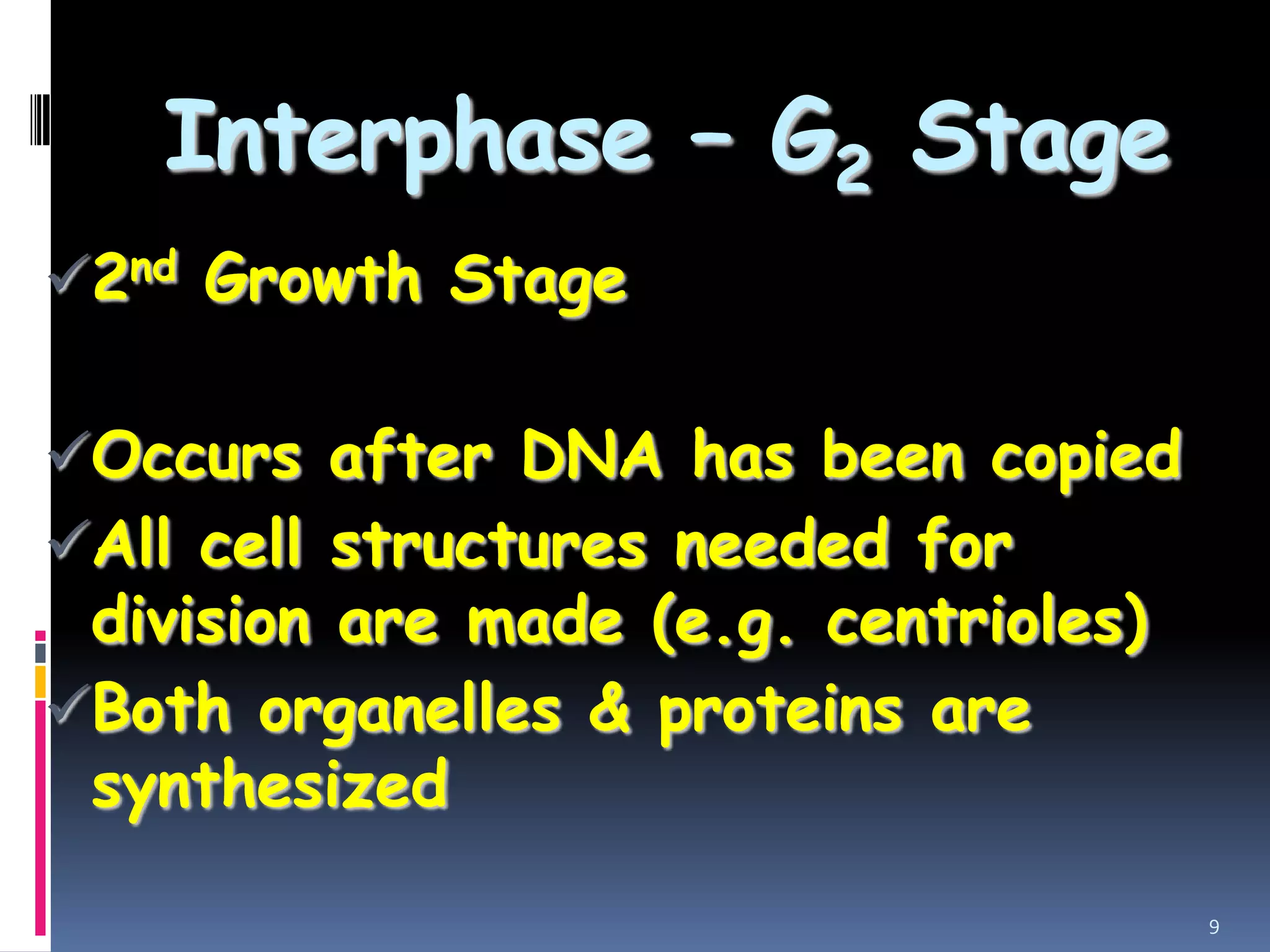 Interphase – G2 Stage
2nd Growth Stage
Occurs after DNA has been copied
All cell structures needed for
division are made (e.g. centrioles)
Both organelles & proteins are
synthesized
9
 