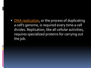  DNA replication, or the process of duplicating
a cell's genome, is required every time a cell
divides. Replication, like all cellular activities,
requires specialized proteins for carrying out
the job.
 