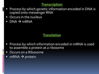 Transcription
 Process by which genetic information encoded in DNA is
copied onto messenger RNA
 Occurs in the nucleus
 DNA  mRNA
Translation
 Process by which information encoded in mRNA is used
to assemble a protein at a ribosome
 Occurs on a Ribosome
 mRNA  protein
 