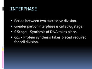 INTERPHASE
 Period between two successive division.
 Greater part of interphase is called G1 stage.
 S Stage: - Synthesis of DNA takes place.
 G2: - Protein synthesis takes placed required
for cell division.
 