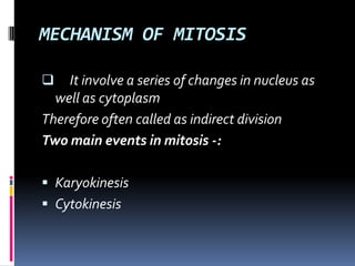 MECHANISM OF MITOSIS
 It involve a series of changes in nucleus as
well as cytoplasm
Therefore often called as indirect division
Two main events in mitosis -:
 Karyokinesis
 Cytokinesis
 
