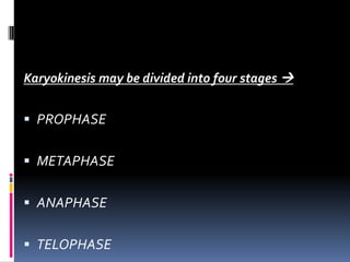 Karyokinesis may be divided into four stages 
 PROPHASE
 METAPHASE
 ANAPHASE
 TELOPHASE
 