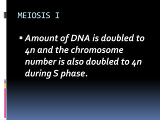 MEIOSIS I
 Amount of DNA is doubled to
4n and the chromosome
number is also doubled to 4n
during S phase.
 