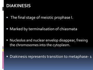 DIAKINESIS
 The final stage of meiotic prophase I.
 Marked by terminalisation of chiasmata
 Nucleolus and nuclear envelop disappear, freeing
the chromosomes into the cytoplasm.
 Diakinesis represents transition to metaphase- 1
 