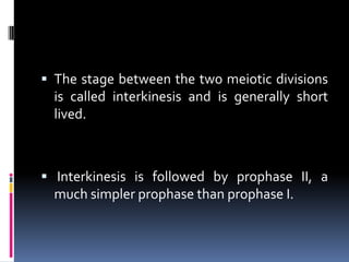  The stage between the two meiotic divisions
is called interkinesis and is generally short
lived.
 Interkinesis is followed by prophase II, a
much simpler prophase than prophase I.
 