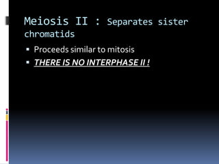 Meiosis II : Separates sister
chromatids
 Proceeds similar to mitosis
 THERE IS NO INTERPHASE II !
 