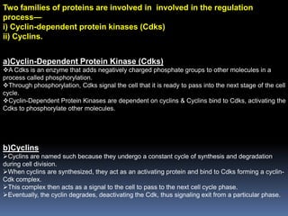 Two families of proteins are involved in involved in the regulation
process—
i) Cyclin-dependent protein kinases (Cdks)
ii) Cyclins.
a)Cyclin-Dependent Protein Kinase (Cdks)
A Cdks is an enzyme that adds negatively charged phosphate groups to other molecules in a
process called phosphorylation.
Through phosphorylation, Cdks signal the cell that it is ready to pass into the next stage of the cell
cycle.
Cyclin-Dependent Protein Kinases are dependent on cyclins & Cyclins bind to Cdks, activating the
Cdks to phosphorylate other molecules.
b)Cyclins
Cyclins are named such because they undergo a constant cycle of synthesis and degradation
during cell division.
When cyclins are synthesized, they act as an activating protein and bind to Cdks forming a cyclin-
Cdk complex.
This complex then acts as a signal to the cell to pass to the next cell cycle phase.
Eventually, the cyclin degrades, deactivating the Cdk, thus signaling exit from a particular phase.
 