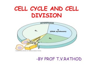 CELL CYCLE AND CELL
DIVISION
-BY PROF T.V.RATHOD
 