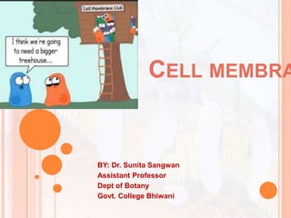 CELL MEMBRA
BY: Dr. Sunita Sangwan
Assistant Professor
Dept of Botany
Govt. College Bhiwani
 