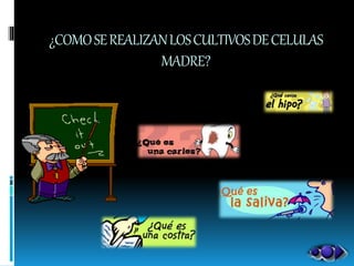 ¿COMOSEREALIZANLOSCULTIVOSDECELULAS
MADRE?
 