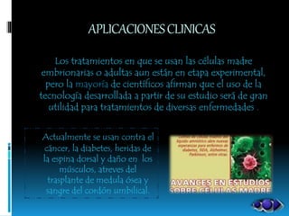 APLICACIONESCLINICAS
Actualmente se usan contra el
cáncer, la diabetes, heridas de
la espina dorsal y daño en los
músculos, atreves del
trasplante de medula ósea y
sangre del cordón umbilical.
Los tratamientos en que se usan las células madre
embrionarias o adultas aun están en etapa experimental,
pero la mayoría de científicos afirman que el uso de la
tecnología desarrollada a partir de su estudio será de gran
utilidad para tratamientos de diversas enfermedades .
 