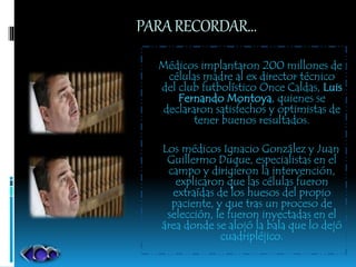 PARARECORDAR…
Médicos implantaron 200 millones de
células madre al ex director técnico
del club futbolístico Once Caldas, Luis
Fernando Montoya, quienes se
declararon satisfechos y optimistas de
tener buenos resultados.
Los médicos Ignacio González y Juan
Guillermo Duque, especialistas en el
campo y dirigieron la intervención,
explicaron que las células fueron
extraídas de los huesos del propio
paciente, y que tras un proceso de
selección, le fueron inyectadas en el
área donde se alojó la bala que lo dejó
cuadripléjico.
 