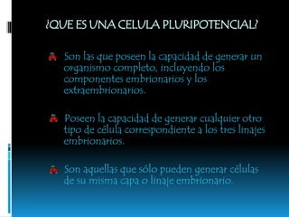 ¿QUE ES UNA CELULA PLURIPOTENCIAL?
Son las que poseen la capacidad de generar un
organismo completo, incluyendo los
componentes embrionarios y los
extraembrionarios.
Poseen la capacidad de generar cualquier otro
tipo de célula correspondiente a los tres linajes
embrionarios.
Son aquellas que sólo pueden generar células
de su misma capa o linaje embrionario.
 