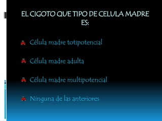 EL CIGOTO QUE TIPO DE CELULA MADRE
ES:
Célula madre totipotencial
Célula madre adulta
Célula madre multipotencial
Ninguna de las anteriores
 