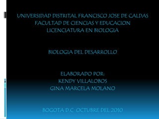 UNIVERSIDAD DISTRITAL FRANCISCO JOSE DE CALDAS
FACULTAD DE CIENCIAS Y EDUCACION
LICENCIATURA EN BIOLOGIA
BIOLOGIA DEL DESARROLLO
ELABORADO POR:
KENDY VILLALOBOS
GINA MARCELA MOLANO
BOGOTA D.C OCTUBRE DEL 2010
 