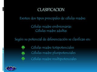 CLASIFICACION
Existen dos tipos principales de células madre:
Células madre totipotenciales
Células madre pluripotenciales
Células madre multipotenciales
Según su potencial de diferenciación se clasifican en:
Células madre embrionarias
Células madre adultas
 