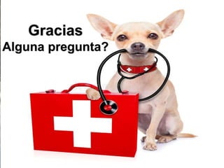 GRACIAS
Gracias
Alguna pregunta?
 