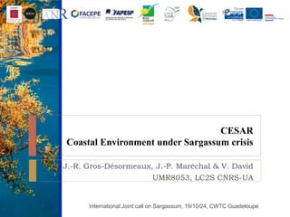 CESAR
Coastal Environment under Sargassum crisis
J.-R. Gros-Désormeaux, J.-P. Maréchal & V. David
UMR8053, LC2S CNRS-UA
International Joint call on Sargassum, 19/10/24, CWTC Guadeloupe1
 