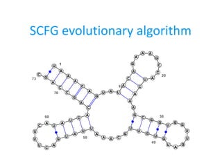 SCFG evolutionary algorithm
 