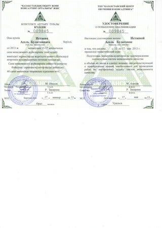 auditor certificate 9001