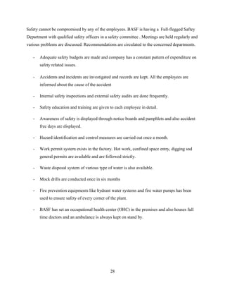 BASF FINAL REPORT | DOC