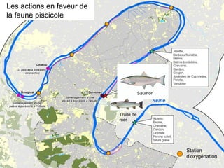 Exemple : La berge de Seine à Villeneuve-La-Garenne :
une opportunité à saisir : la destruction de l’estacade des
Marinier...