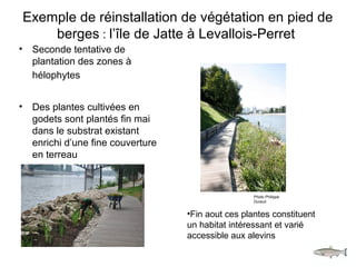 Le projet permettra de restaurer et valoriser le milieu
aquatique lié aux berges de la Seine.
Les études présentées dans l...