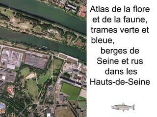 Atlas de la flore
et de la faune,
trames verte et
bleue,
berges de
Seine et rus
dans les
Hauts-de-Seine
 