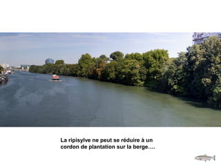 Biodiversité piscicole de la Seine :
un meilleur suivi
• La méthode est basée sur les
alevins et non sur les adultes.
Elle...