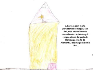 A Gaivota com muita
persistência conseguiu sair
dali, mas extremamente
cansada voou até conseguir
chegar a torre da igreja de
Hamburgo (Norte da
Alemanha, nas margens do rio
Elba).

 