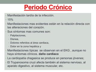 Periodo Crónico
• Manifestación tardía de la infección.
• 15%
• Manifestaciones mas evidentes están en la relación directa con
las alteraciones del corazón.
• Sus síntomas mas comunes son:
• Palpitaciones,
• Disnea,
• Dolores referidos al área cardiaca,
• Dolor en la zona hepática y
• Manifestaciones típicas se observan en el EKG , aunque no
haya síntomas clínicos. daño cardiaco
• La cardiopatía chagasica se produce en personas jóvenes;
• El Trypanosoma cruzi afecta también al sistema nervioso, al
aparato digestivo, al sistema muscular, etc.
 