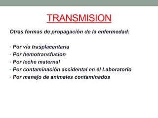 TRANSMISION
Otras formas de propagación de la enfermedad:
• Por vía trasplacentaria
• Por hemotransfusion
• Por leche maternal
• Por contaminación accidental en el Laboratorio
• Por manejo de animales contaminados
 