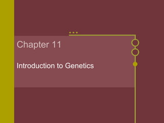 Chapter 11 Introduction to Genetics 