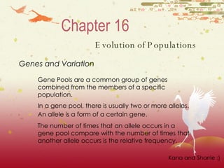 Chapter 16 Evolution of Populations Gene Pools are a common group of genes combined from the members of a specific population. In a gene pool, there is usually two or more alleles. An allele is a form of a certain gene.   The number of times that an allele occurs in a gene pool compare with the number of times that another allele occurs is the relative frequency. Genes and Variation Kana and Sharrie :) 