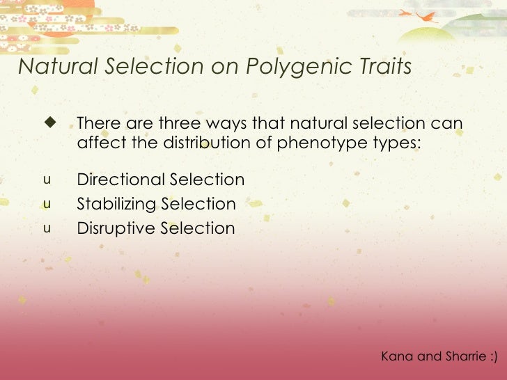 In Single Gene Traits Natural Selection Can Lead To In Single Gene Traits Natural Selection Can Lead To