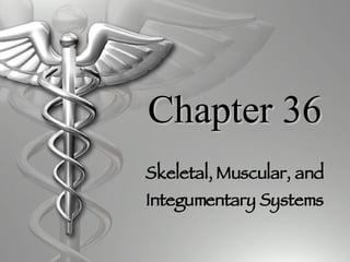 Chapter 36 Skeletal, Muscular, and Integumentary Systems 