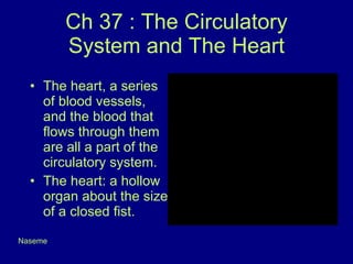 Ch 37 : The Circulatory System and The Heart ,[object Object],[object Object],Naseme 