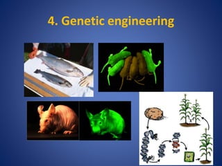 4. Genetic engineering
 
