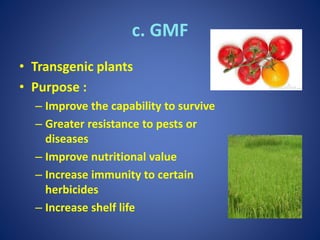 c. GMF
• Transgenic plants
• Purpose :
– Improve the capability to survive
– Greater resistance to pests or
diseases
– Improve nutritional value
– Increase immunity to certain
herbicides
– Increase shelf life
 