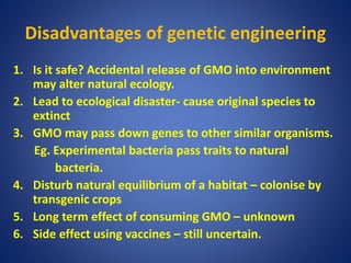 Disadvantages of genetic engineering
1. Is it safe? Accidental release of GMO into environment
may alter natural ecology.
2. Lead to ecological disaster- cause original species to
extinct
3. GMO may pass down genes to other similar organisms.
Eg. Experimental bacteria pass traits to natural
bacteria.
4. Disturb natural equilibrium of a habitat – colonise by
transgenic crops
5. Long term effect of consuming GMO – unknown
6. Side effect using vaccines – still uncertain.
 