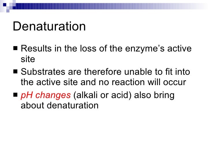 characteristics of enzymes