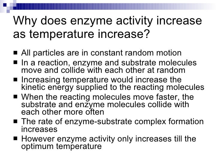characteristics of enzymes