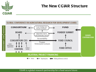 The New C GIAR S truc ture




CGIAR is a global research partnership for a food secure future
 