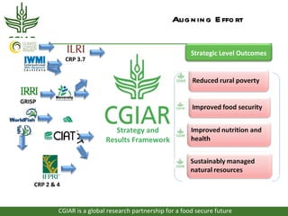 Alig n in g E ffo rt


                                                            Strategic Level Outcomes
                CRP 3.7




GRISP



                                Strategy and
                             Results Framework




    CRP 2 & 4



            CGIAR is a global research partnership for a food secure future
 