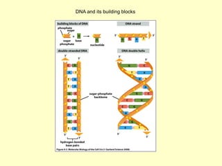 2_Chemical_Composition.pdf