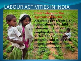 LABOUR ACTIVITIES IN INDIA
            Child Labour in The
            Agricultural Sector :
            According to a recent ILO
            report about 80% child
            labourers in India are
            employed in the agriculture
            sector. The children are
            generally sold to the rich
            moneylenders to whom
            borrowed money cannot be
            returned.
 