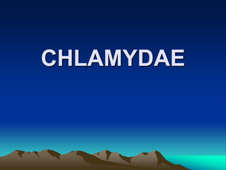 CHLAMYDAE

 