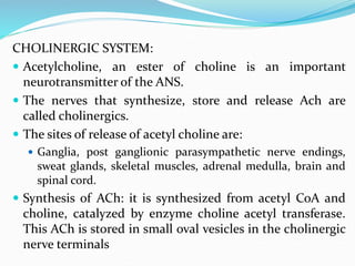 CHOLINERGIC SYSTEM:
 Acetylcholine, an ester of choline is an important
neurotransmitter of the ANS.
 The nerves that synthesize, store and release Ach are
called cholinergics.
 The sites of release of acetyl choline are:
 Ganglia, post ganglionic parasympathetic nerve endings,
sweat glands, skeletal muscles, adrenal medulla, brain and
spinal cord.
 Synthesis of ACh: it is synthesized from acetyl CoA and
choline, catalyzed by enzyme choline acetyl transferase.
This ACh is stored in small oval vesicles in the cholinergic
nerve terminals
 