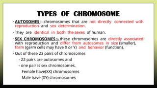 Comprehensive Overview of Chromosomes, DNA, and Their Role in Cancer | PPTX