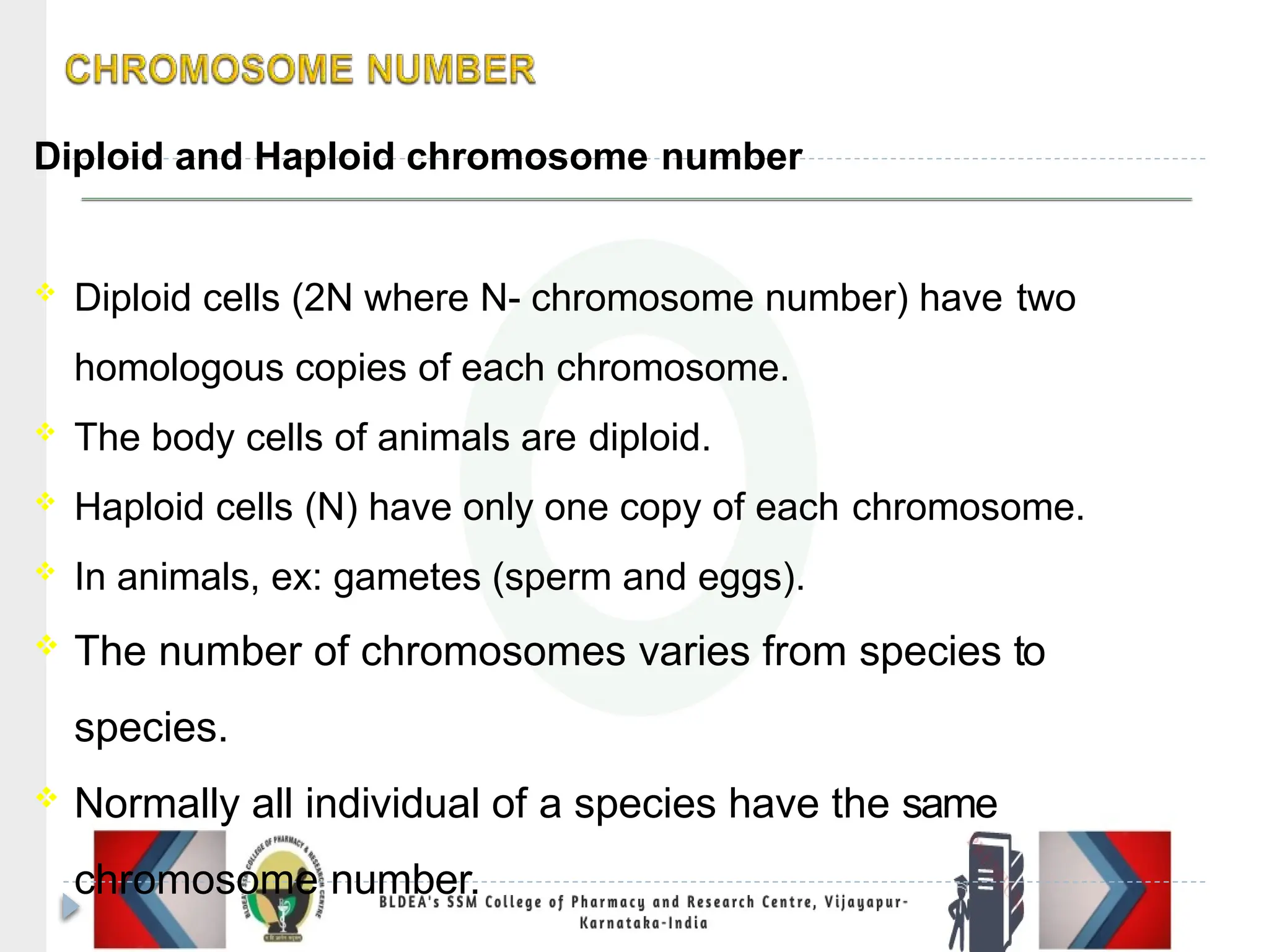 Diploid and Haploid chromosome number
 Diploid cells (2N where N- chromosome number) have two
homologous copies of each chromosome.
 The body cells of animals are diploid.
 Haploid cells (N) have only one copy of each chromosome.
 In animals, ex: gametes (sperm and eggs).
 The number of chromosomes varies from species to
species.
 Normally all individual of a species have the same
chromosome number.
 